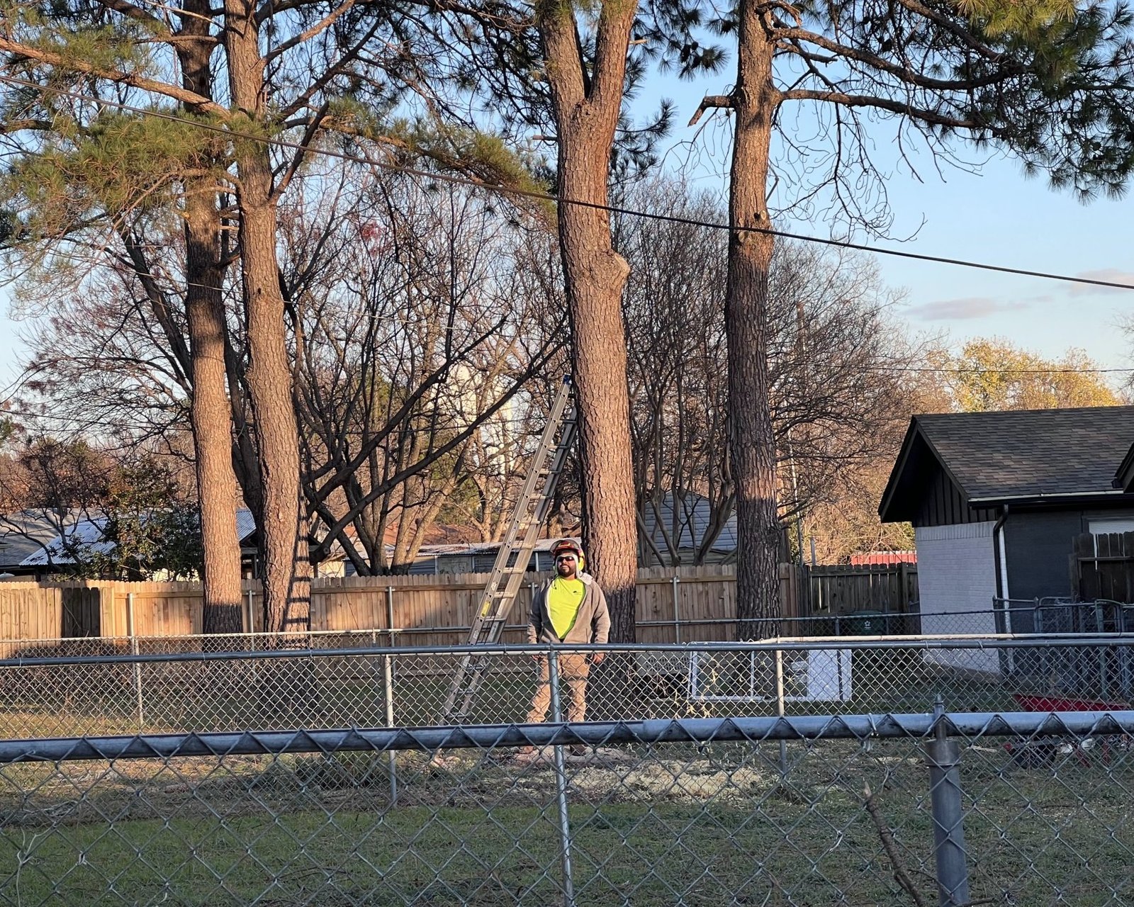 Mr. Sierra standing in front of a cut tree