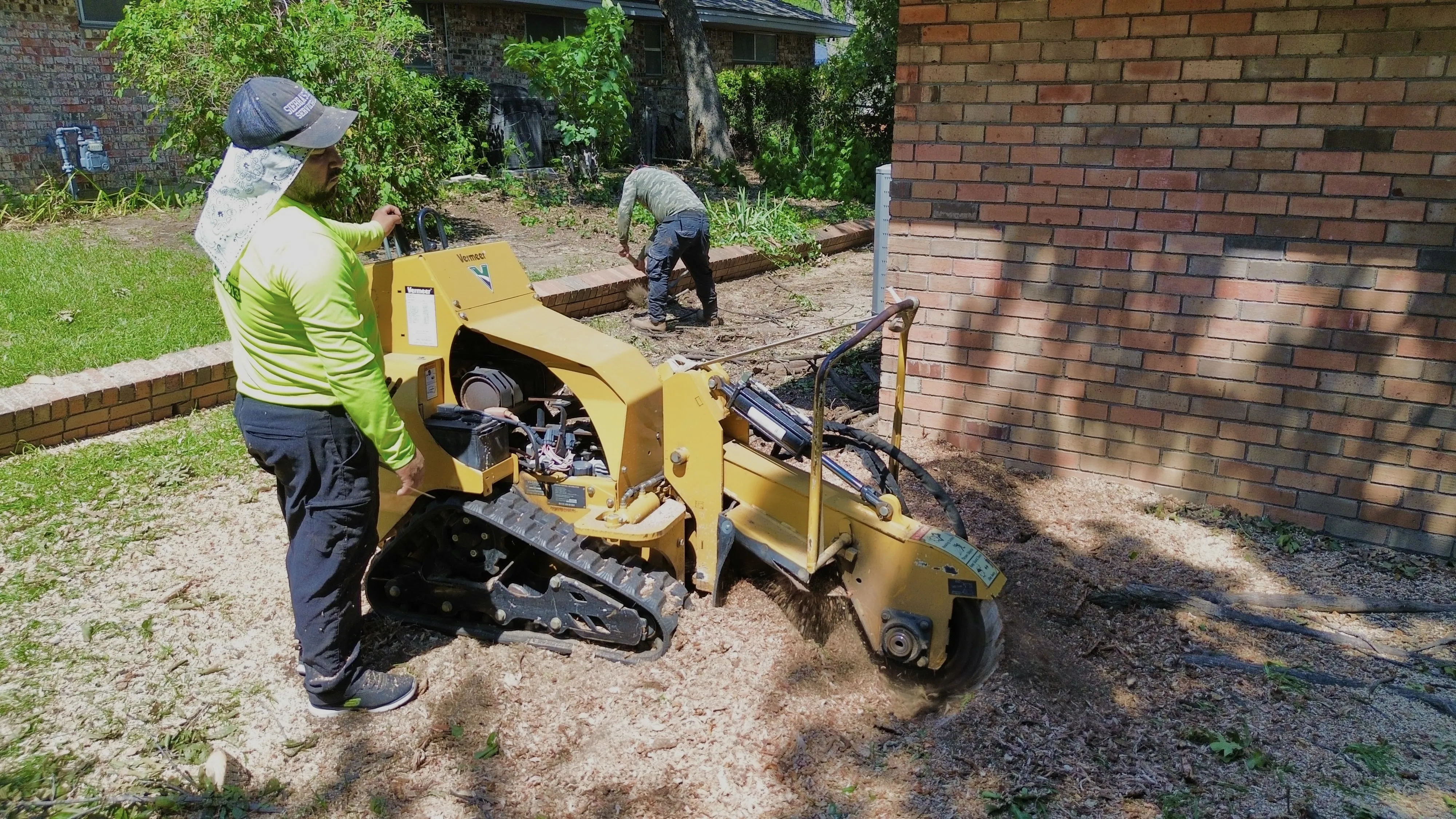 Workers grinding a tree stump