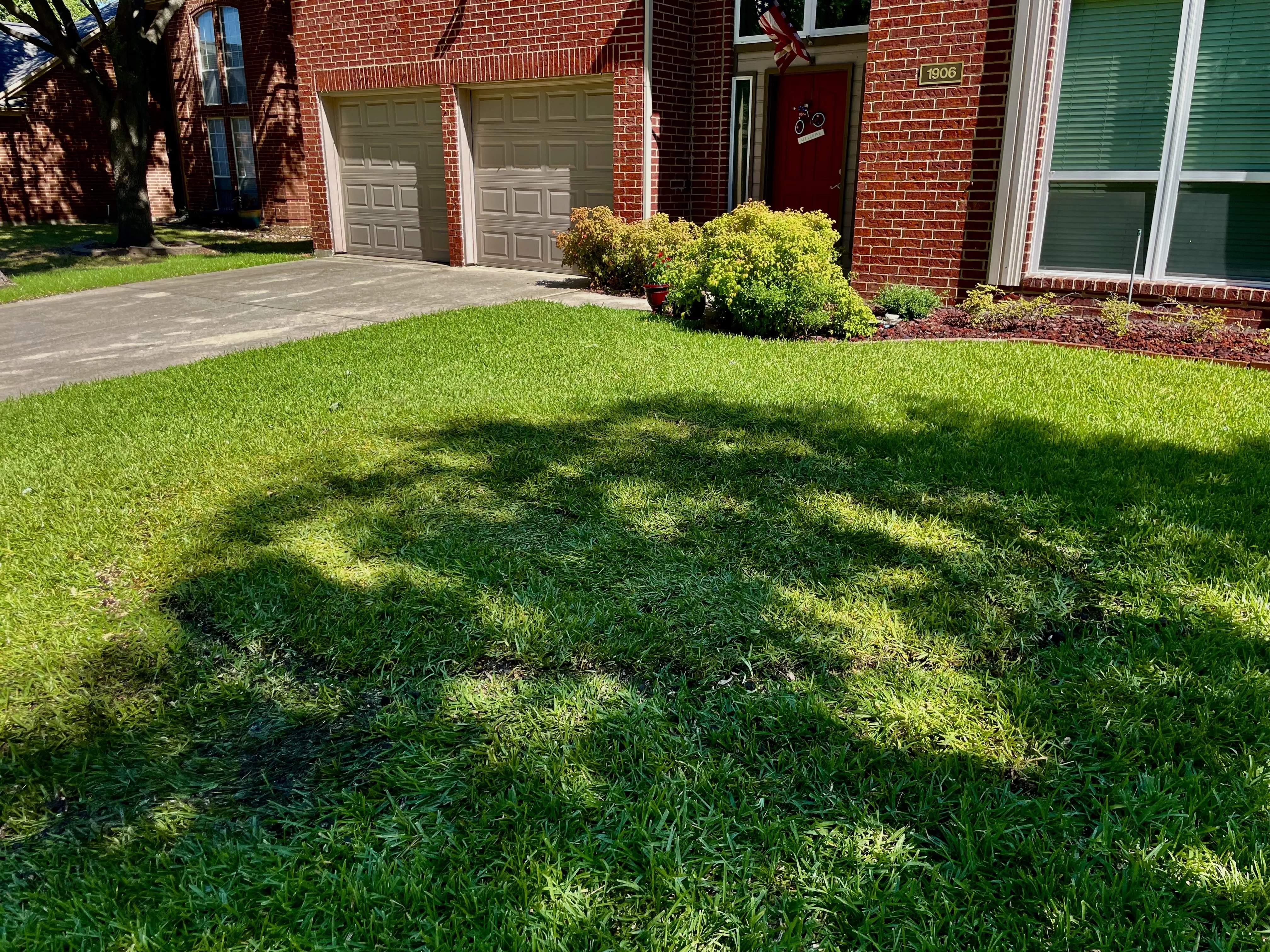 The same stump removed and replaced with new grass and sod in Southlake, TX